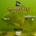 DVD Spiegelbild Teil 1 DVD Spiegelbild Teil 1