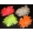 Krautblei 2.0 Neon-Range